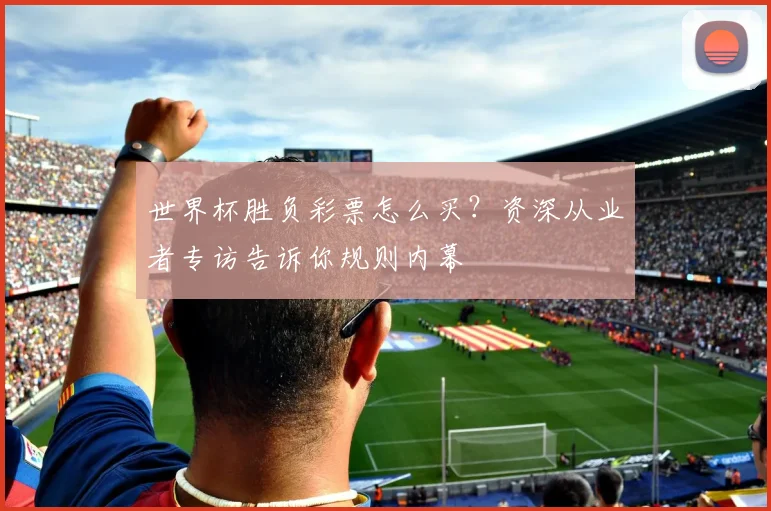 世界杯胜负彩票怎么买？资深从业者专访告诉你规则内幕