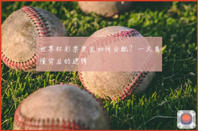 世界杯彩票奖金如何分配？一文看懂背后的逻辑