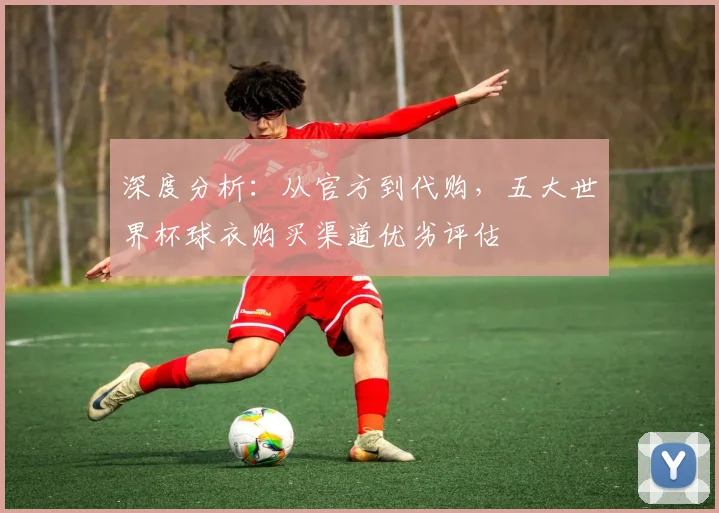 深度分析:从官方到代购,五大世界杯球衣购买渠道优劣评估