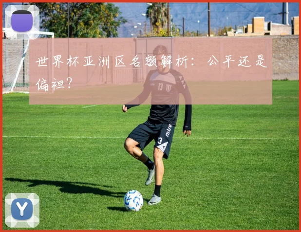世界杯亚洲区名额解析:公平还是偏袒?