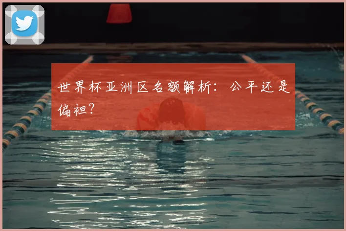 世界杯亚洲区名额解析：公平还是偏袒？
