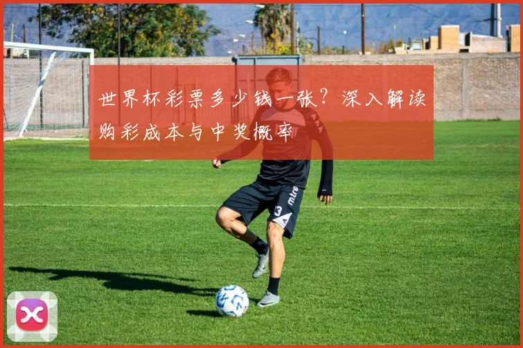 世界杯彩票多少钱一张？深入解读购彩成本与中奖概率