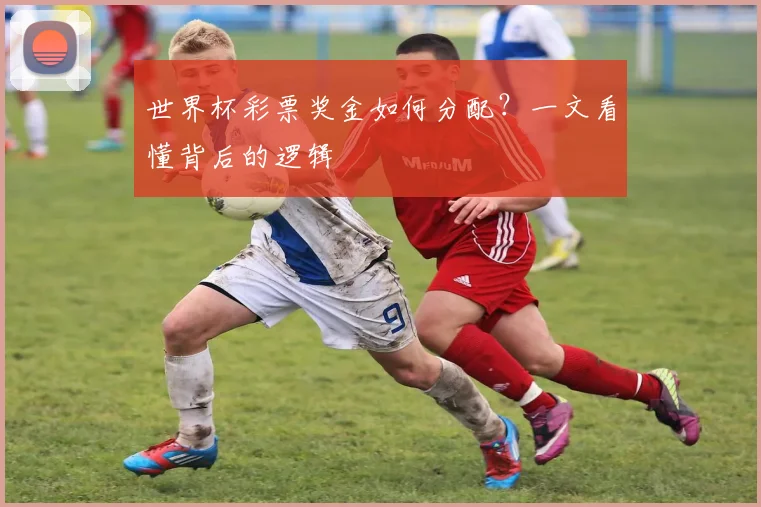 世界杯彩票奖金如何分配?一文看懂背后的逻辑